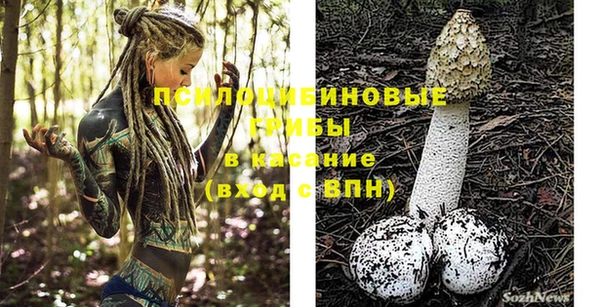 герыч Снежинск