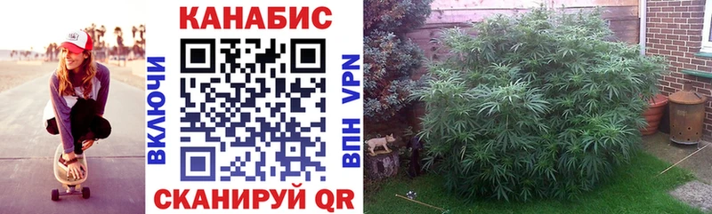 Бошки марихуана LSD WEED  купить наркотики сайты  ссылка на мегу как войти  Белинский 